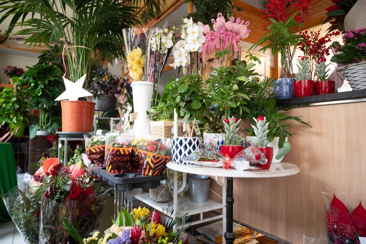 En imágenes | Flores Linacero busca relevo