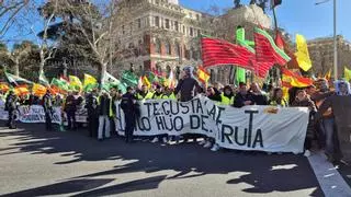 Los agricultores zamoranos toman las calles de Madrid