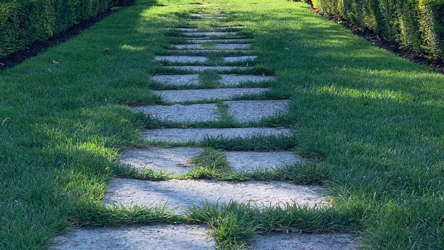 El fertilizante que debes usar para eliminar el musgo y tener un jardín muy verde