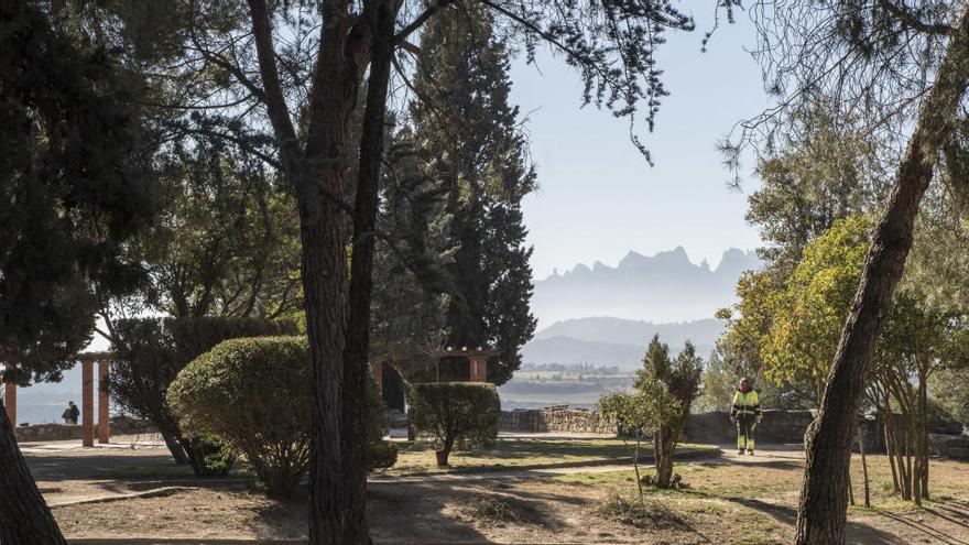 Rutes de natura per als més petits en la seva passejada diària de desconfinament