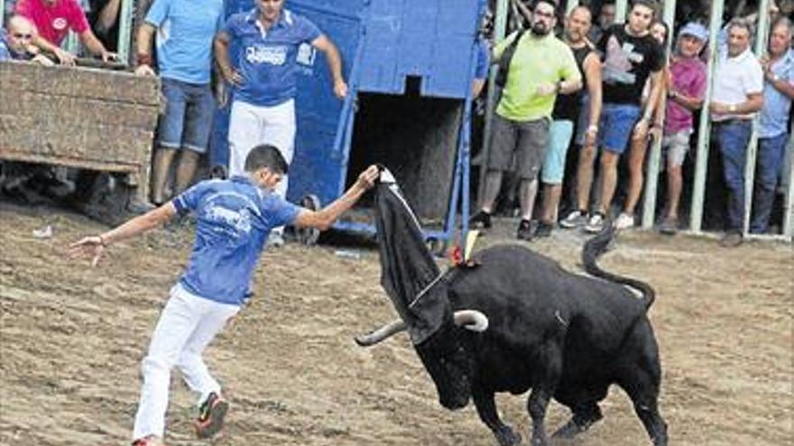 Borriol despide las fiestas volcado en actos taurinos