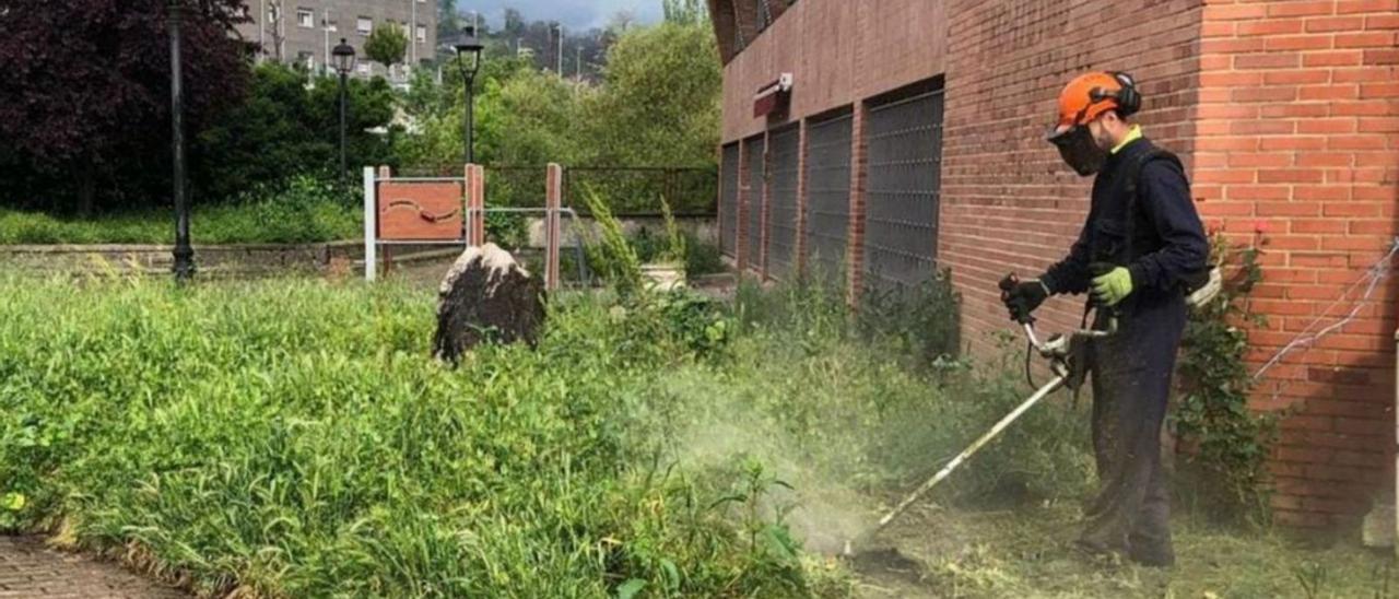 Un trabajador del Ayuntamiento de Aller haciendo labores de desbroce en Moreda. | LNE