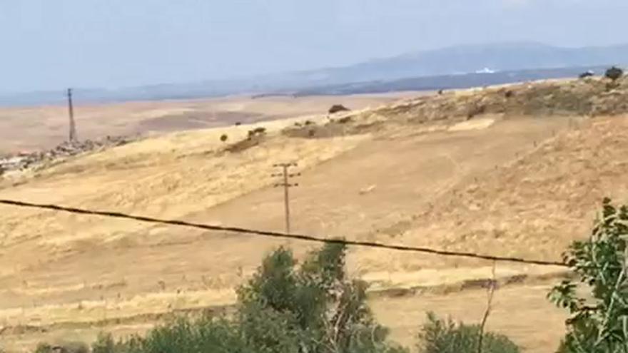 Tala de árboles en la Montaña de Cáceres para la ronda este