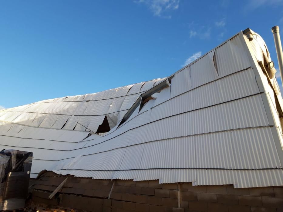 Windhose zerstört Gewächshäuser auf Mallorca