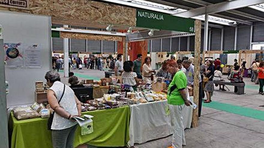 Ifeza, durante la celebración de la última feria de Ecocultura.