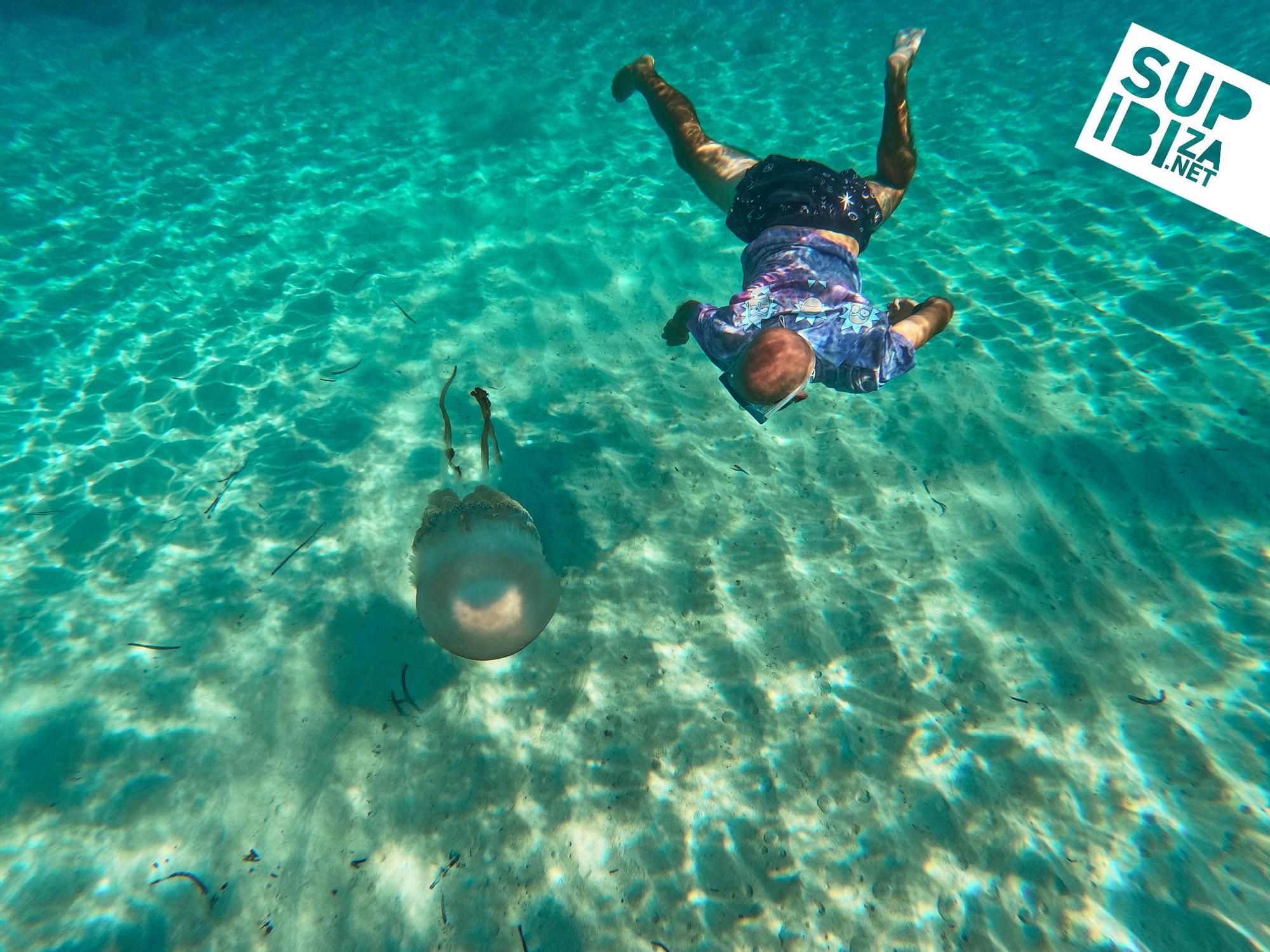 Un grupo de turistas se topa con una medusa de 40kg en Ibiza y se baña con ella