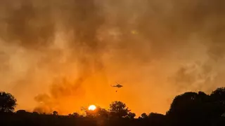Los cinco incendios forestales en Extremadura se encuentran estabilizados o controlados