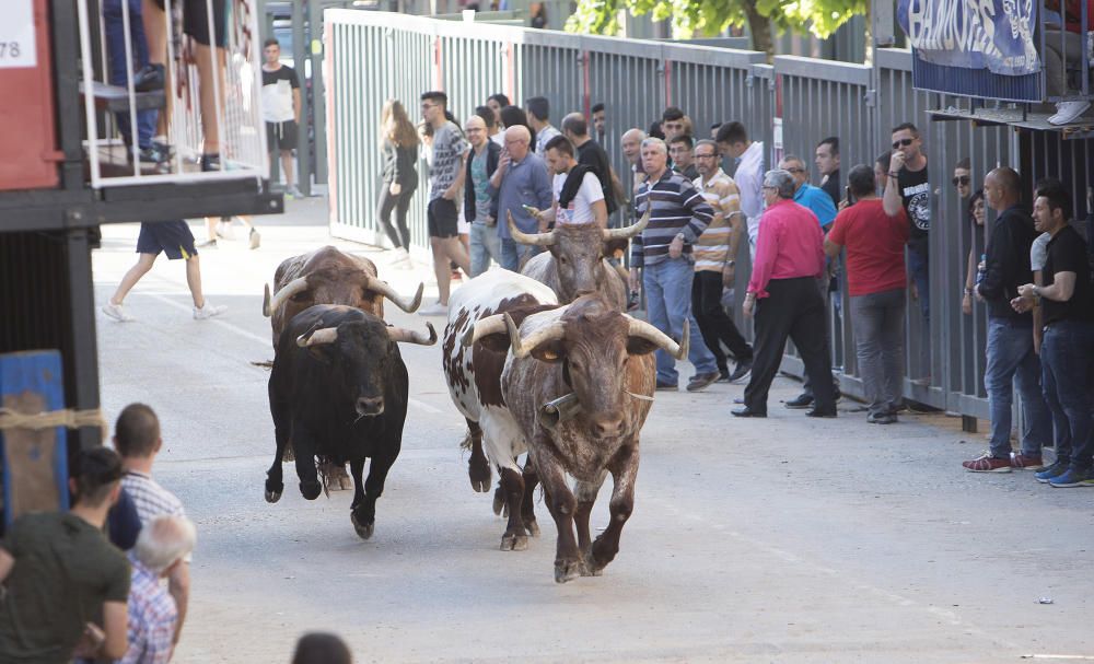 Sant Pasqual 2018.