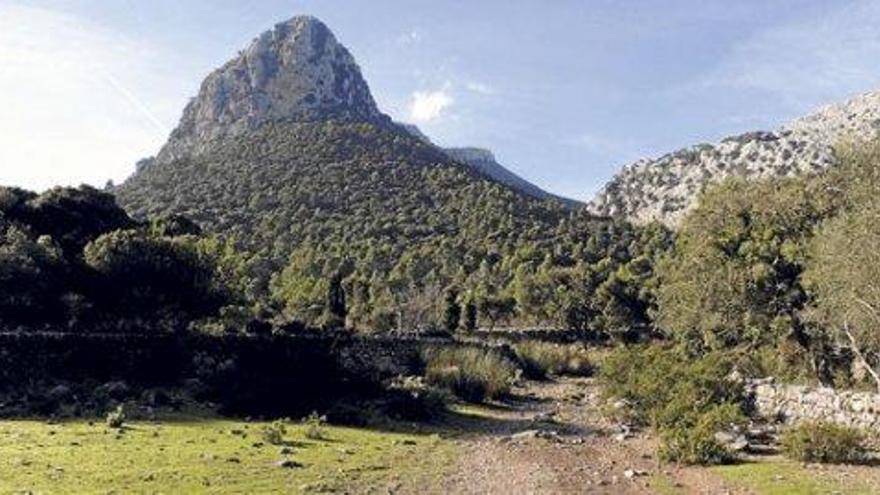 Berglandschaft bei Mancor de la Vall.