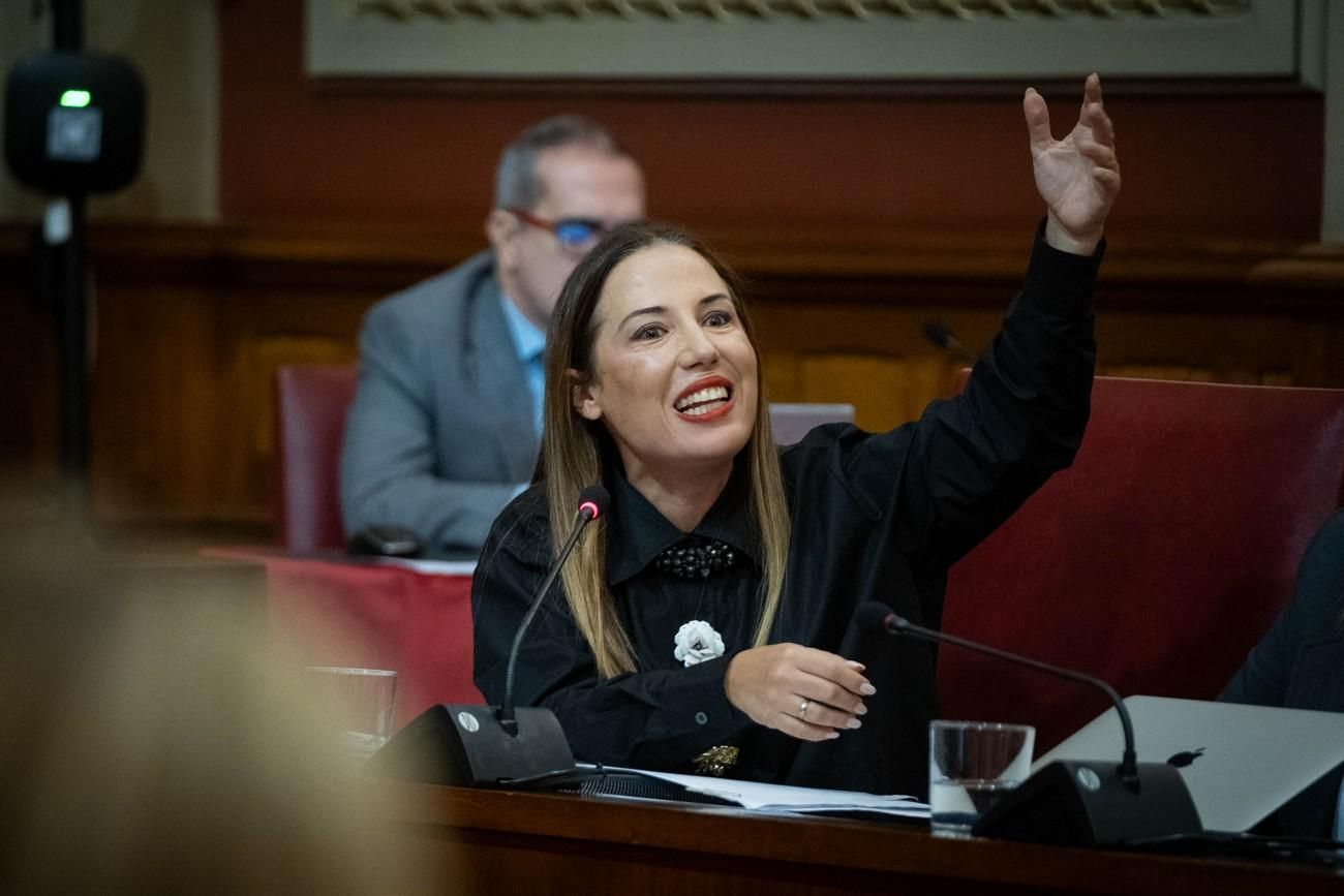 Pleno del Ayuntamiento de Santa Cruz de Tenerife del 29 de noviembre de 2024