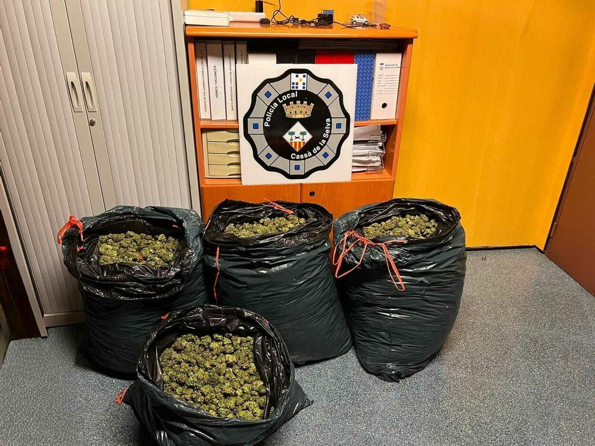 La policia va detenir el conductor després de descobrir els 4 sacs de cabdells de cannabis