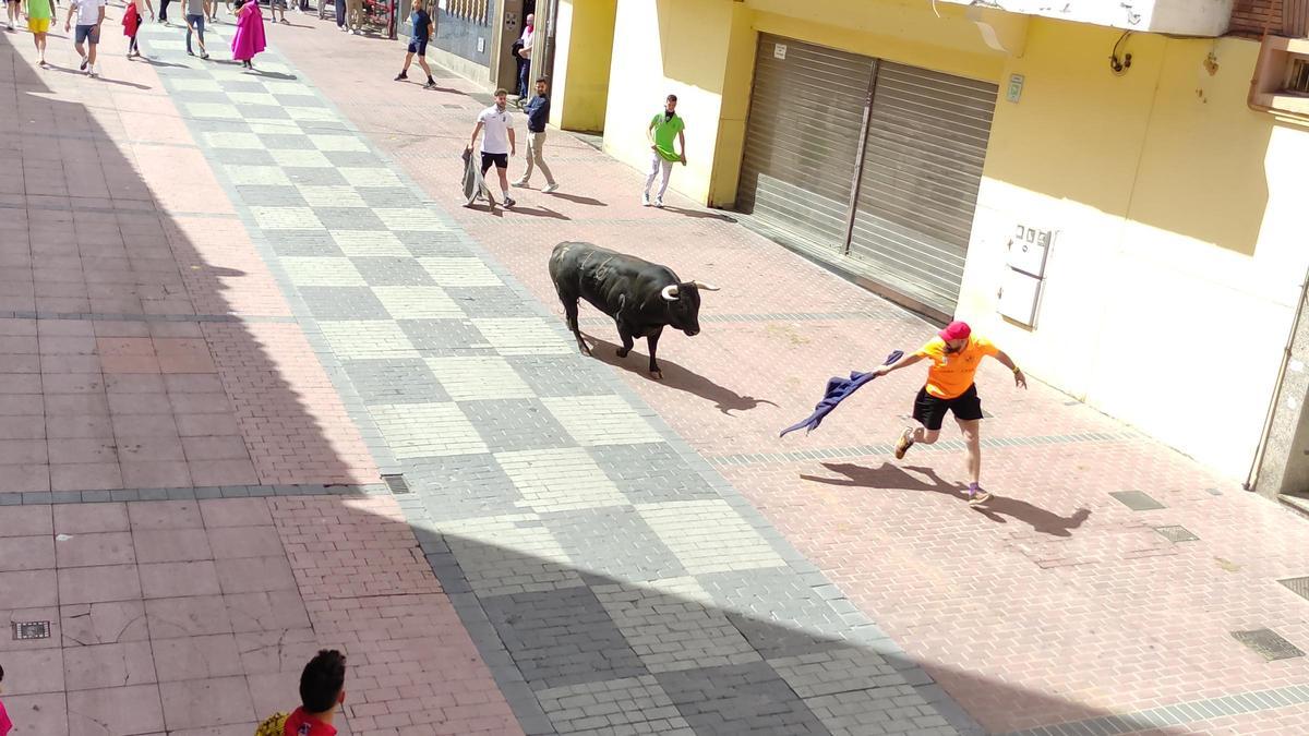 Toro del cajón de Charamandanga.