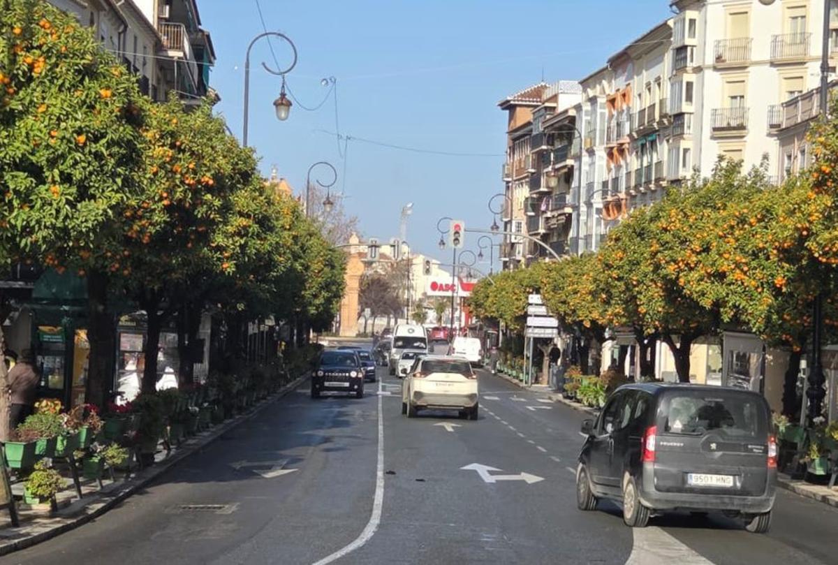 La Alameda de Andalucía en la actualidad.