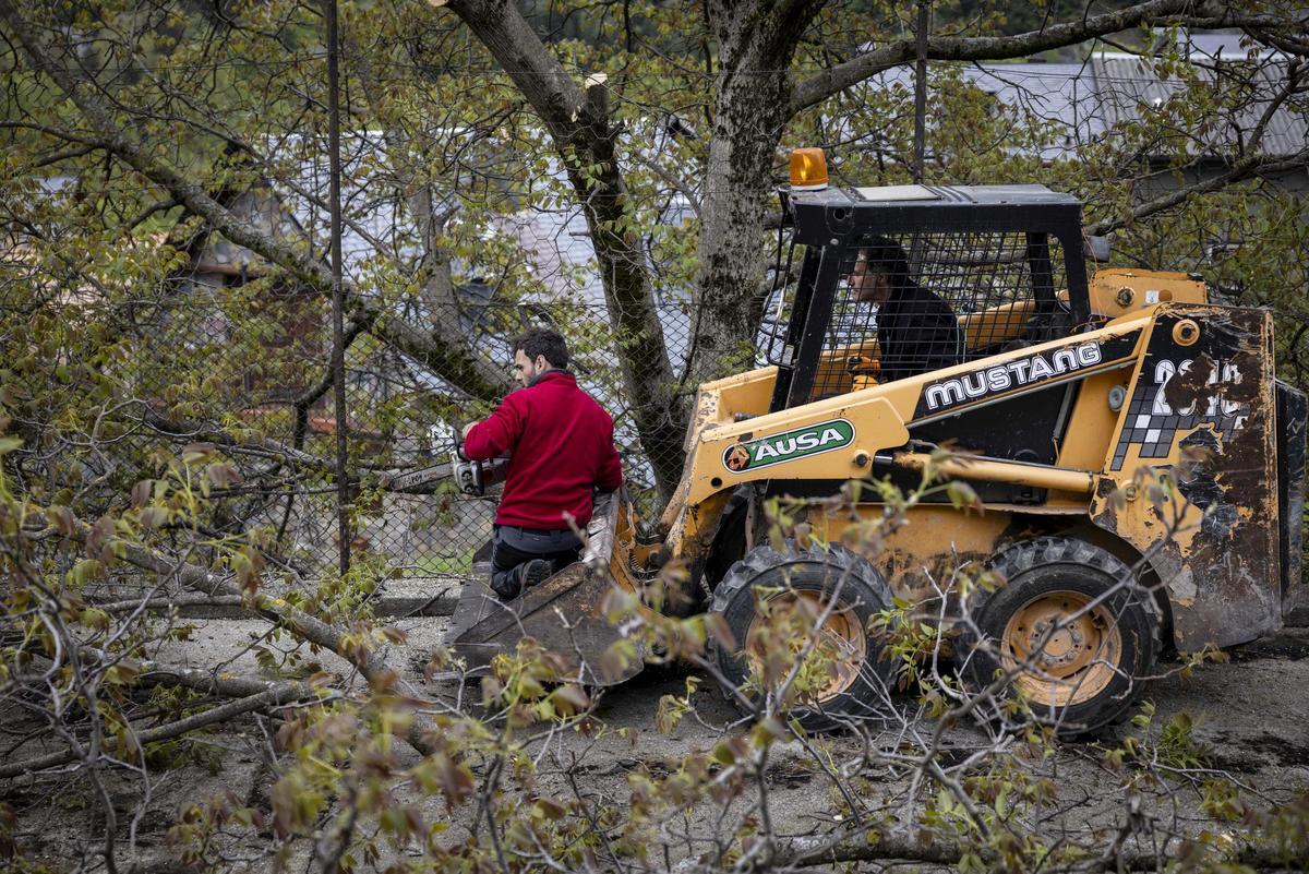 La escuela de Plan, este verano.