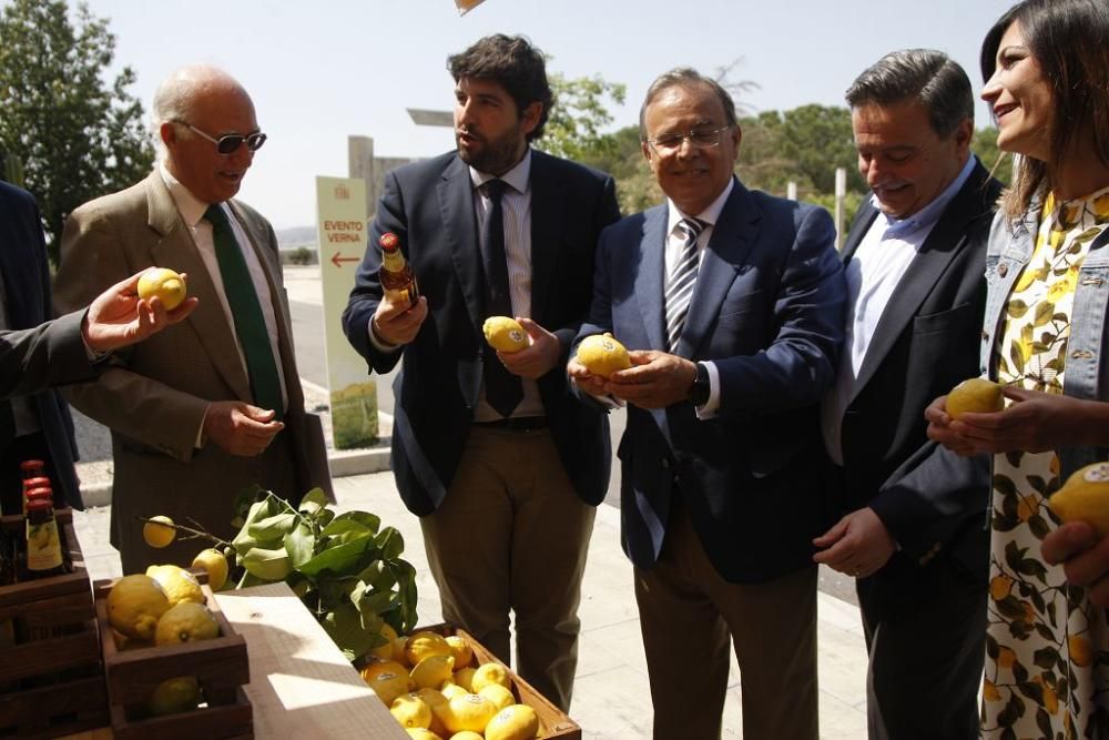 Presentación de 'Verna', la nueva cerveza de Estrella Levante