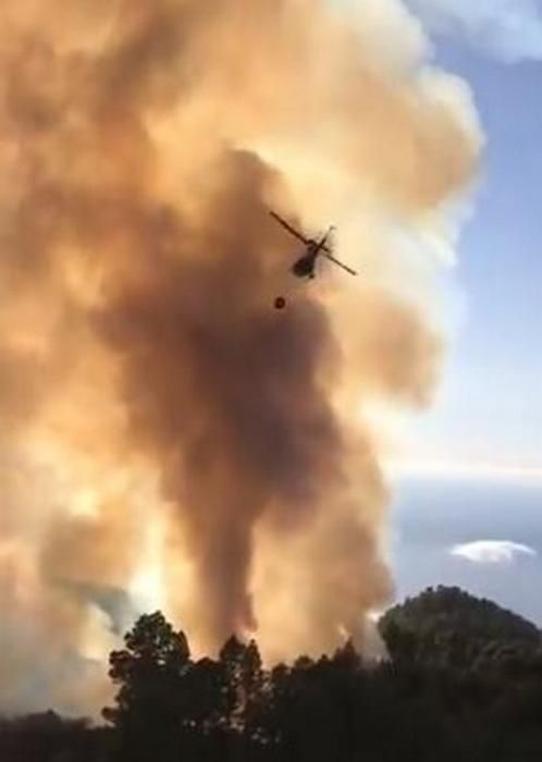 Incendio en la isla de La Palma.