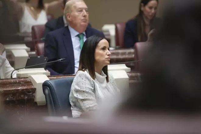 Ayala pasa a la ofensiva en su primera sesión de control: "Aquí se mira para otro lado cuando la corrupción pudre al PSOE"