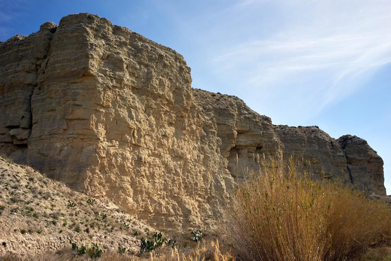 Montaña en los Galachos de Juslibol, Zaragoza.