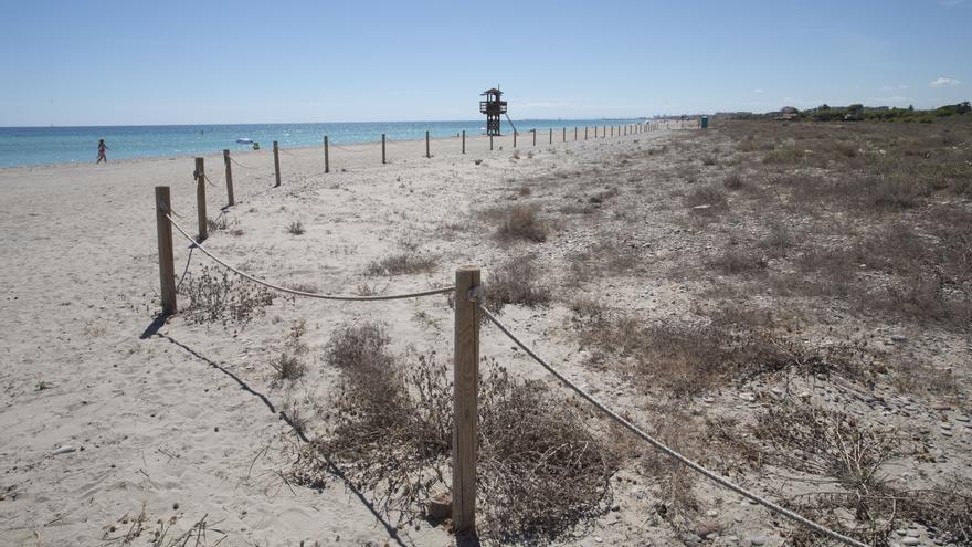 La Colla Verda pide implicación en la conservación de las playas