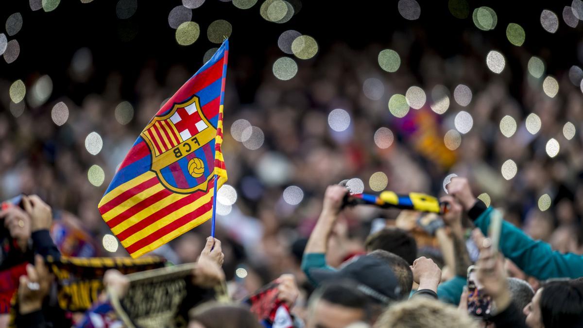 Mai ens explicaran la veritat, mai