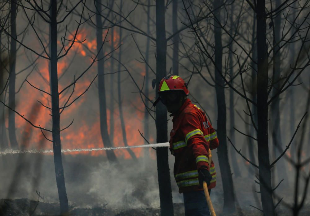 Incendio de grandes dimensiones en Portugal