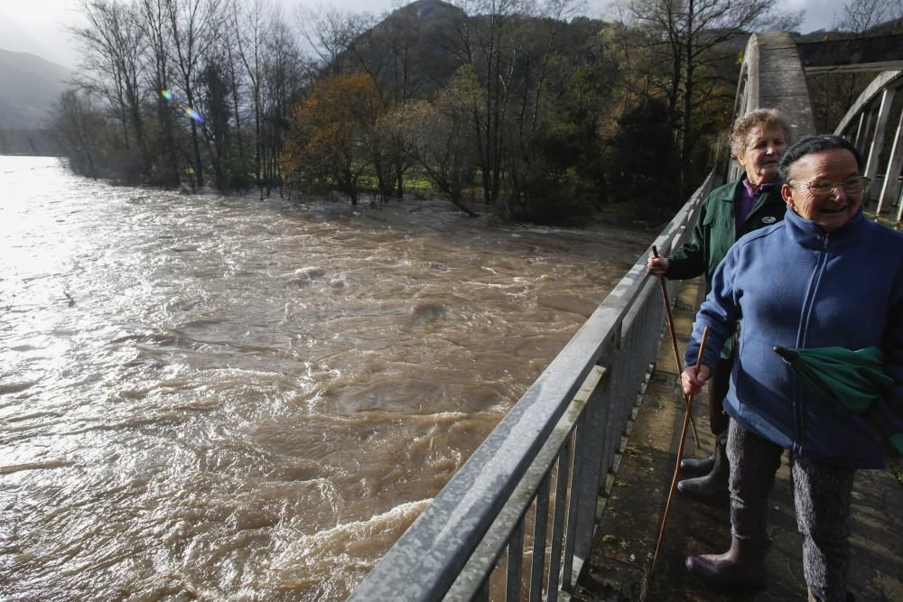 Aspecto del río Narcea a su paso por Laneo (Salas)