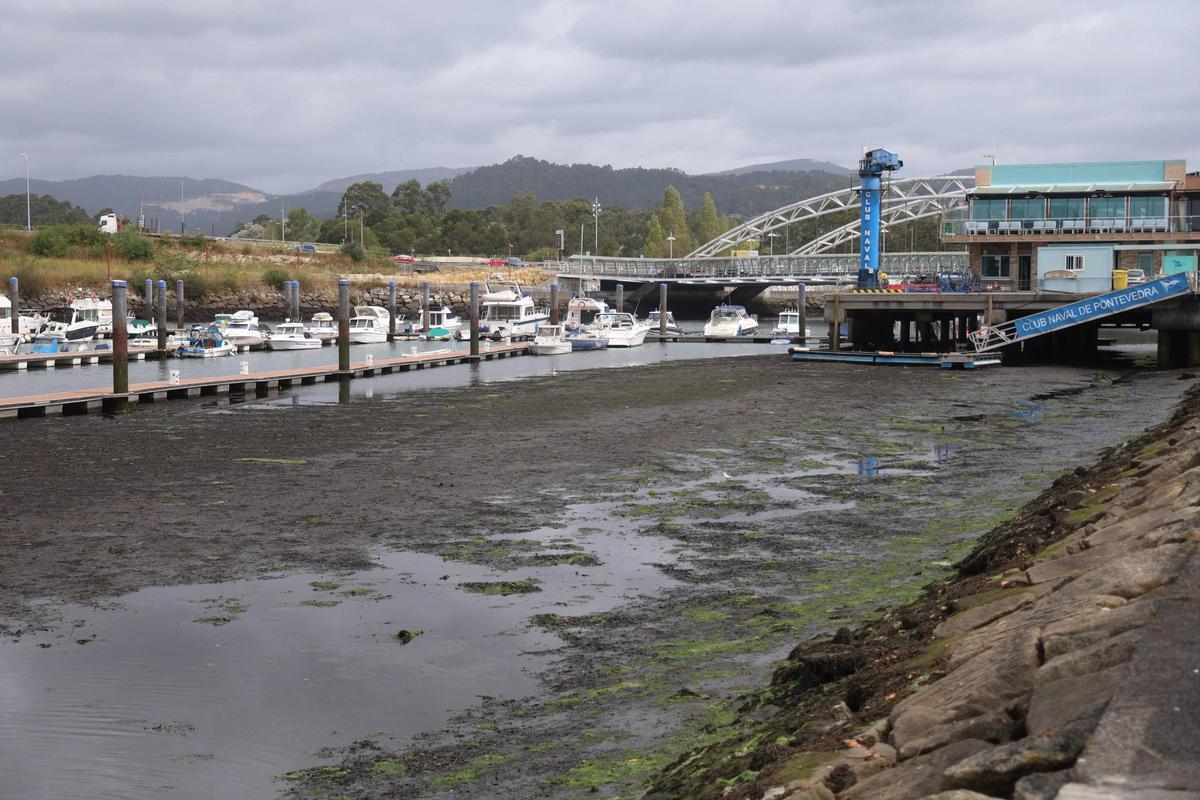 Lodos en los plantalanes del Club Naval durante la marea baja.