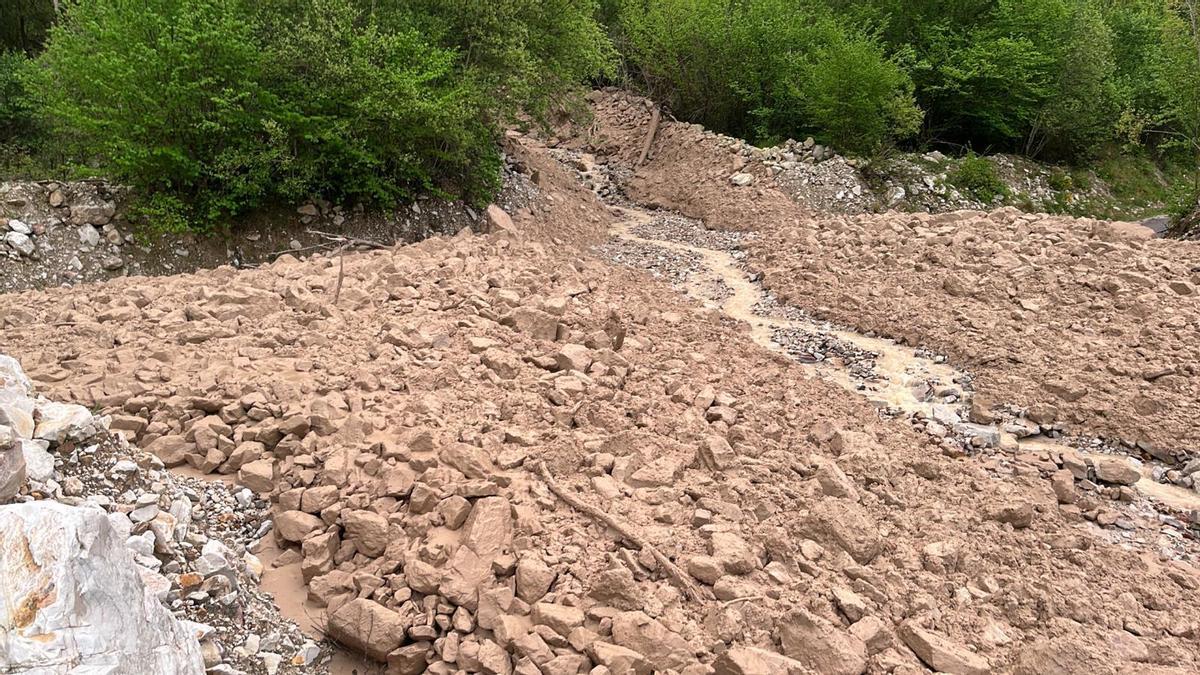 En imágenes: Así trabaja Tineo para limpiar la fana de Genestaza y dar servicio a los pueblos