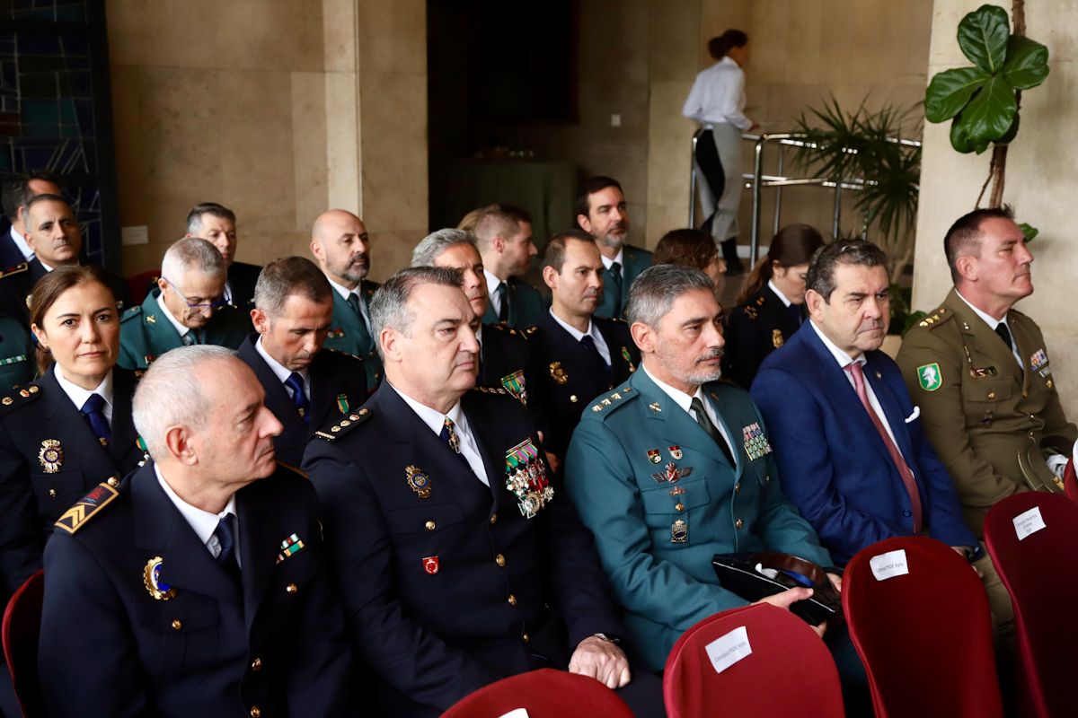 El Gran Teatro, Fepamic, Veterinaria, Radio Córdoba y la Fiesta del Queso recogen los premios Constitución