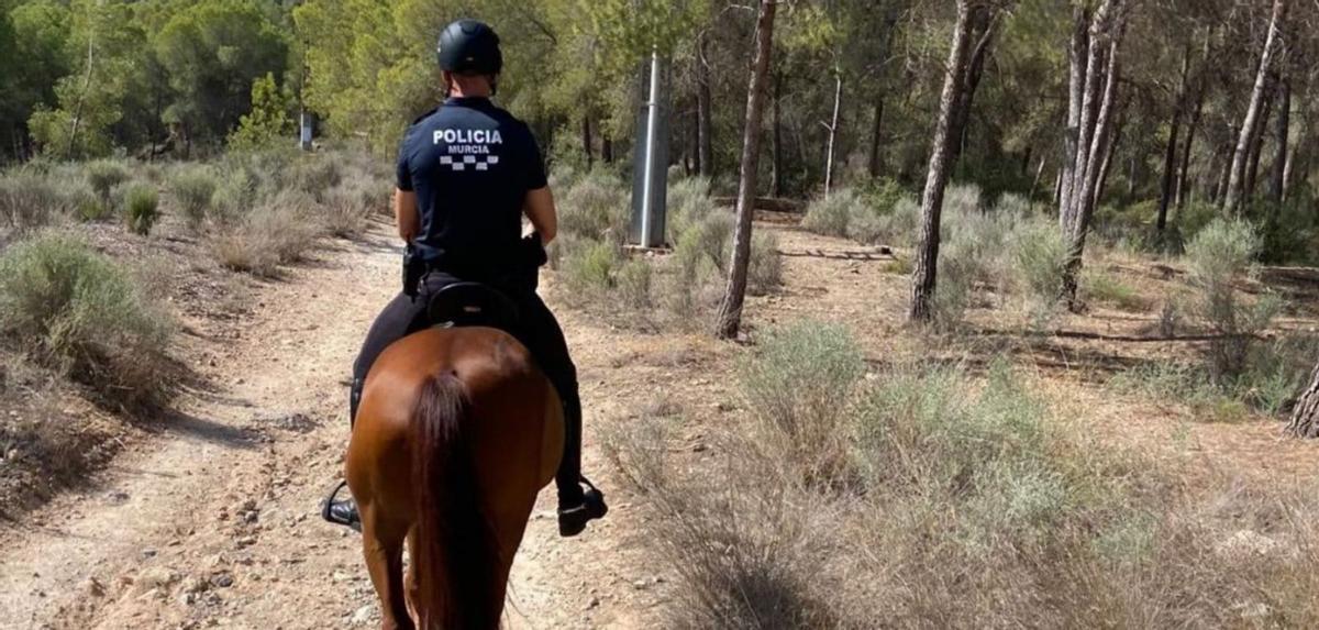 La Unidad de Caballería colabora en la prevención de incendios forestales.