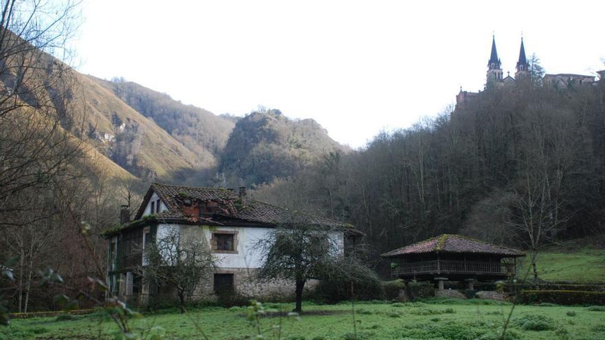La finca Les Llanes, con la casona en ruinas y la basílica de Covadonga al fondo.   | RAMÓN DÍAZ