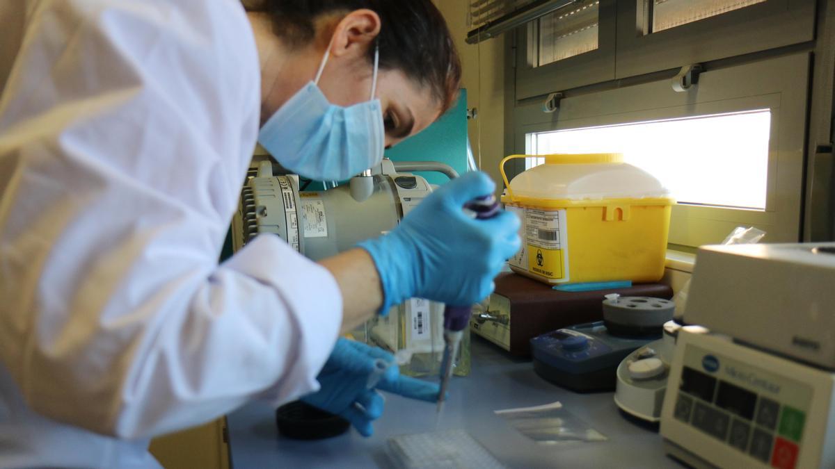 Imagen de uno de los laboratorios en el campus de la Universidad de Alicante.