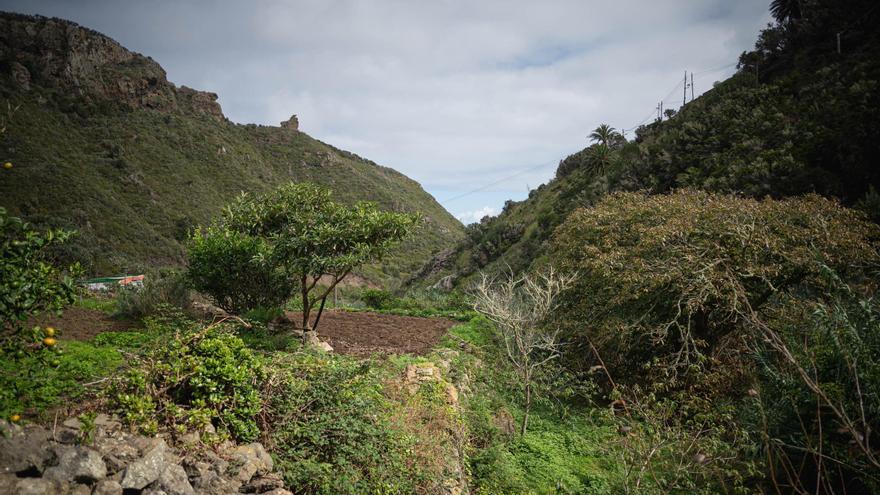 Chamorga: La Tenerife vaciada