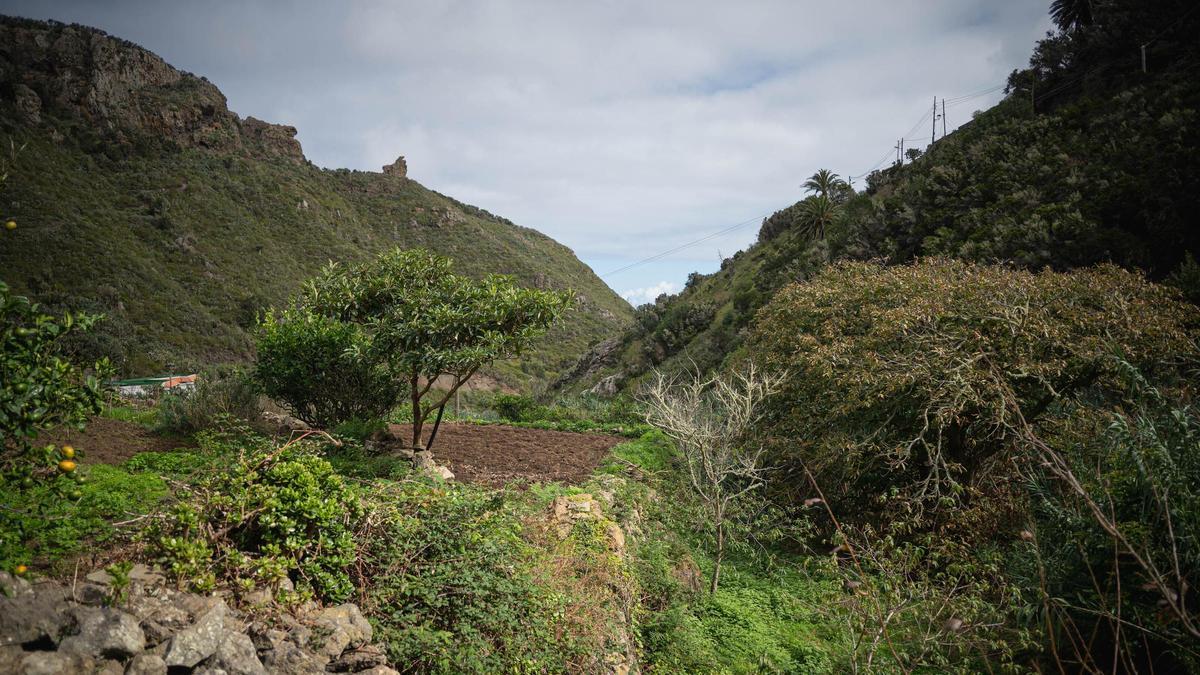 Chamorga: La Tenerife vaciada