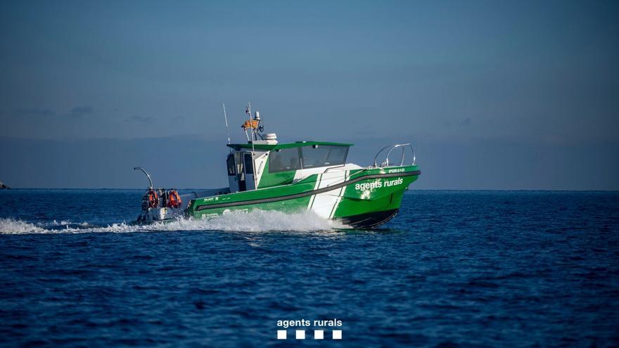 Denuncien una persona per fer foc a una cala de Port de la Selva