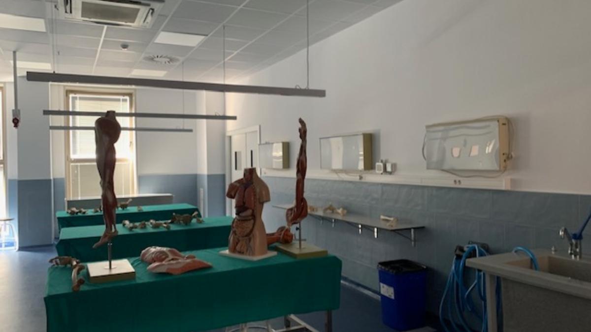 Una sala para hacer prácticas de Anatomía en la Universidad de Murcia