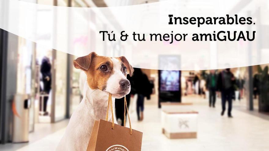 El centro comercial Ruta de la Plata de Cáceres permite la entrada de mascotas