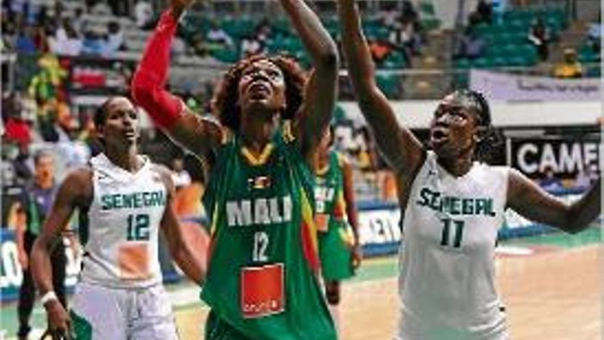 Coulibaly jugant amb Mali aquest estiu a l&#039;Afrobasket.