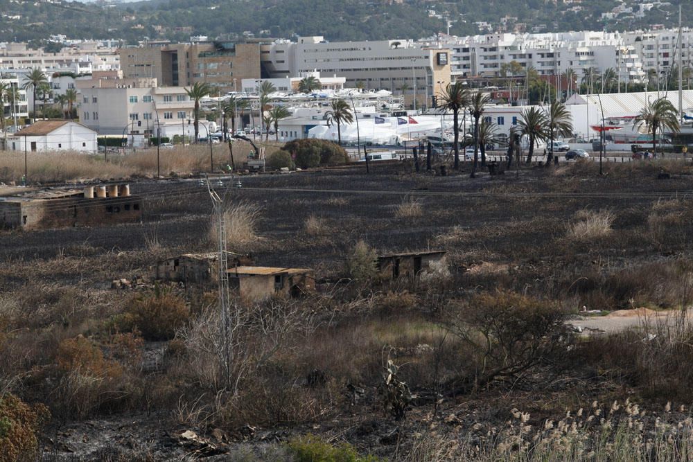 El día después del incendio en ses Feixes