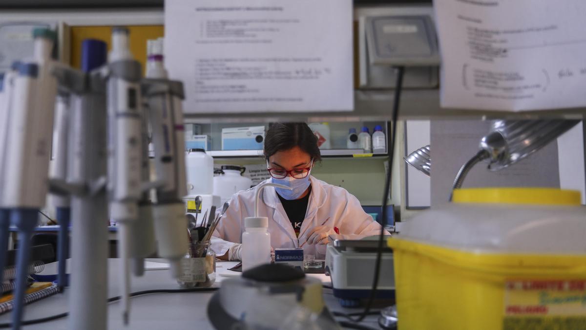Carmen Agustín investigando en su laboratorio del campus de Burjassot.