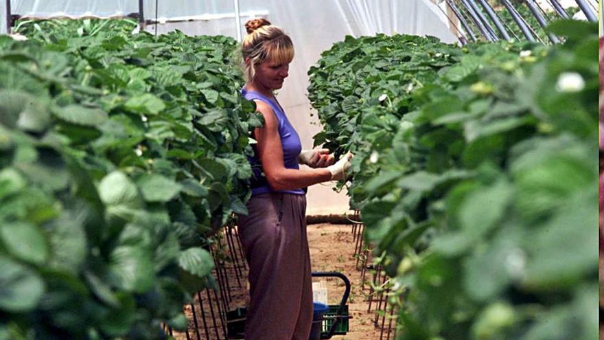 Las mujeres rurales se podrán beneficiar de las ayudas.                                  | EFE