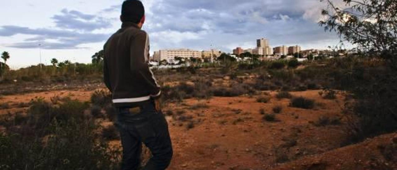 El área en la que se emplaza el Fondet de la Senieta, entre Arenales y El Altet.