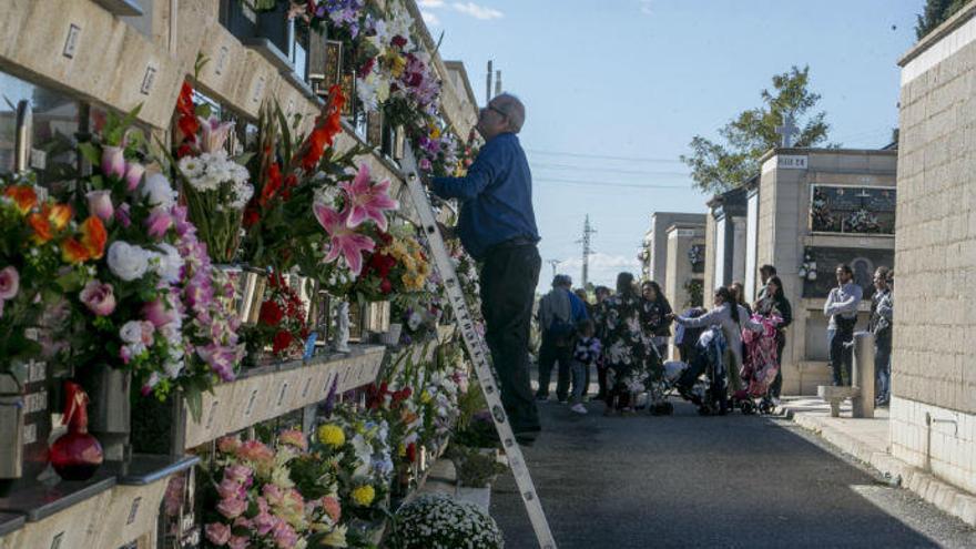 Vecinos visitando a sus seres queridos en el Cementerio Nuevo de Elche