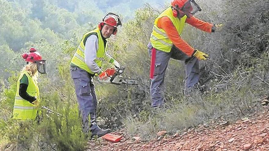 La Brigada Verde comienza sus actuaciones en el Montí de Onda