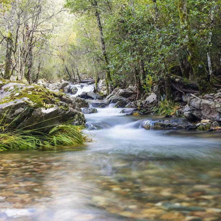 La Reserva de la Biosfera escondida en Castilla y León que guarda algunas de las montañas más antiguas de España