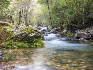 La Reserva de la Biosfera escondida en Castilla y León que guarda algunas de las montañas más antiguas de España
