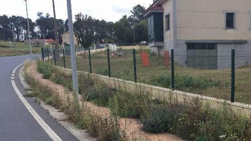 Sendas con maleza de la carretera de Vilanova.