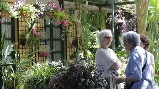 Los patios alcanzan los 65.000 visitantes en un solo día, un 40% más que el año pasado en la misma fecha
