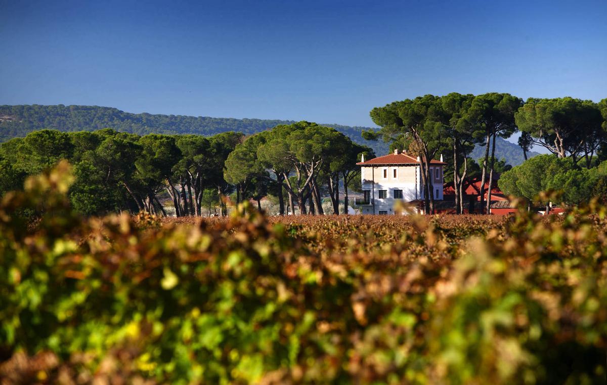 Finca Villacreces.