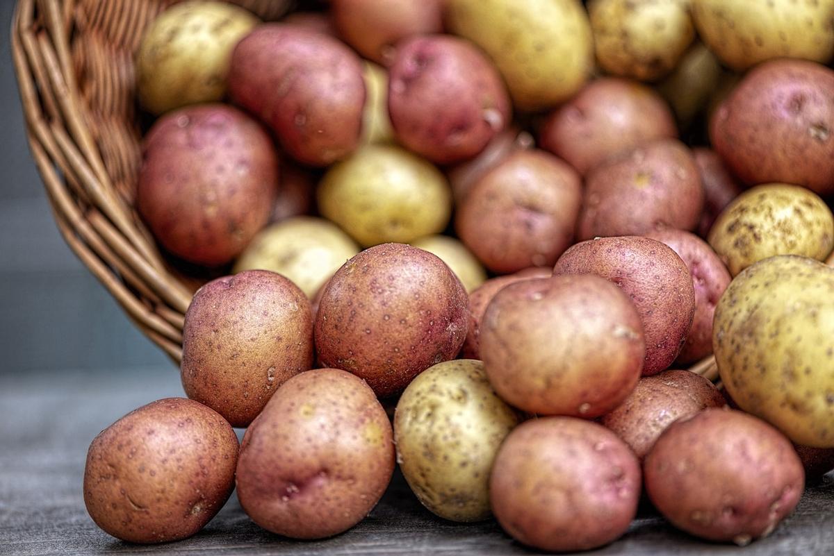 ¡Pon en práctica estos sencillos trucos y disfruta de tus patatas frescas por más tiempo!